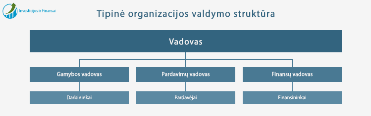 Tipine verslo valdymo struktura: vadovas, struktūrinių padalinių vadovai ir darbuotojai.